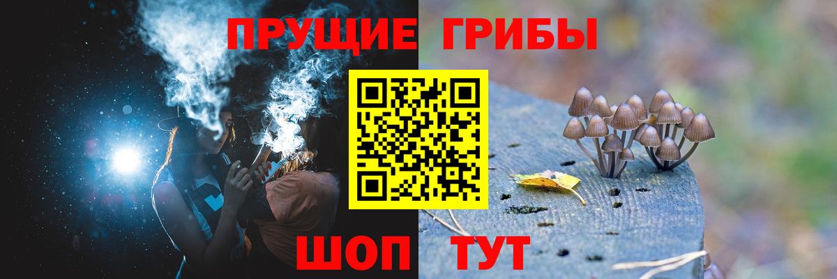 Псилоцибиновые грибы MAGIC MUSHROOMS Снежинск